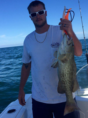 Angling Adventures gag Grouper